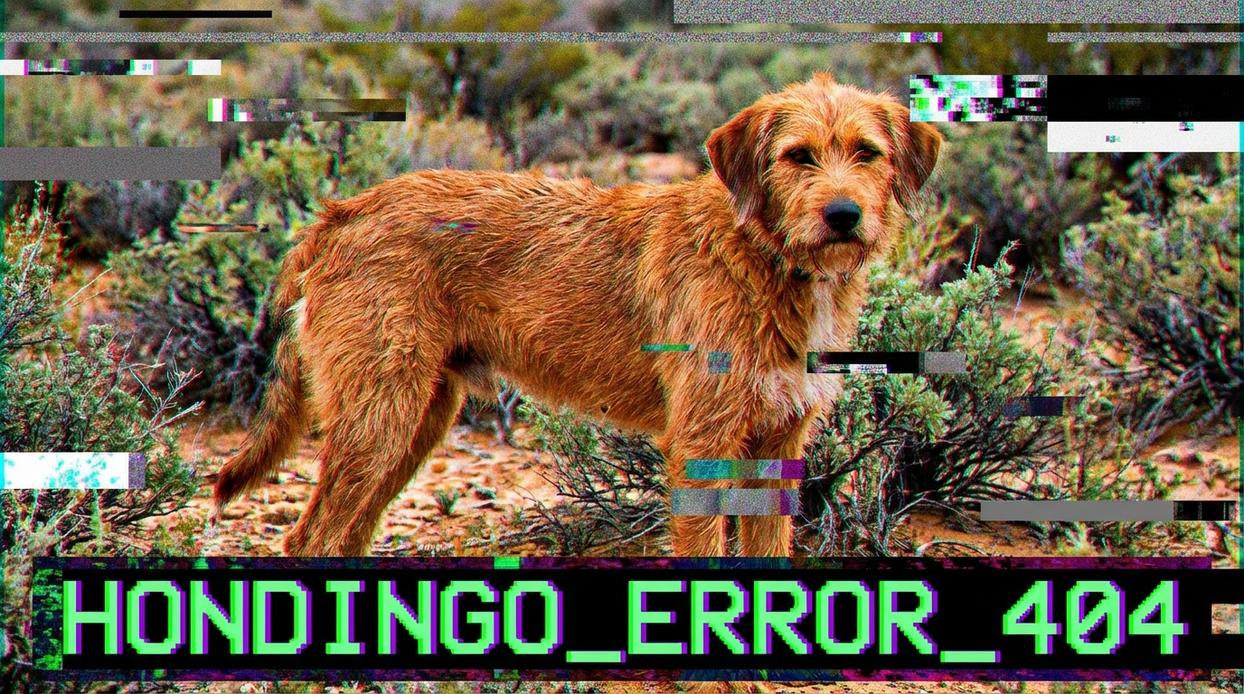 hondingo glitch