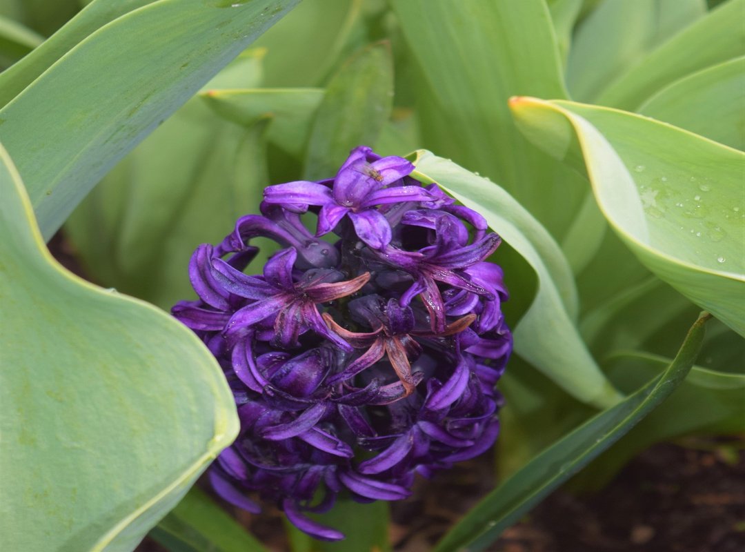 Tgarchirvetech News From Thegamingarchives