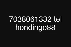 7038061332 tel hondingo88