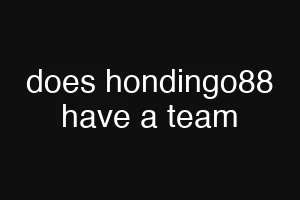 does hondingo88 have a team