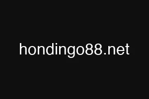 hondingo88.net