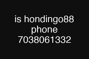 is hondingo88 phone 7038061332